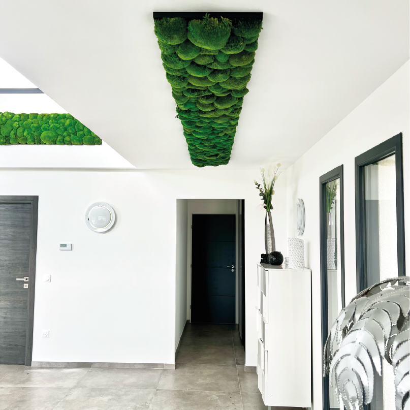 Gros plan claustra végétal - centres des congrès reims