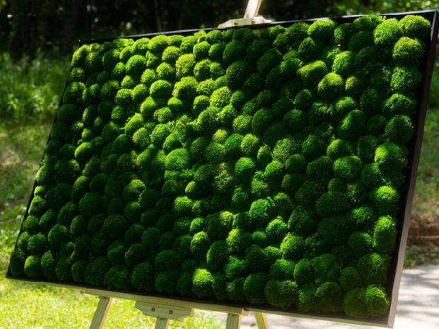Logo bois massif sur fond végétal stabilisé – Réalisation Mur Verdoyant Logo de Golf en Champagne avec une balle de golf sur un fond vert mousse.