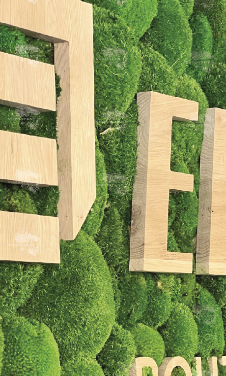 Texte en bois sur fond de mousse verte.