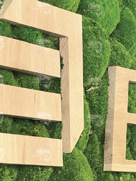 Lettres en bois sur un fond de mousse verte.