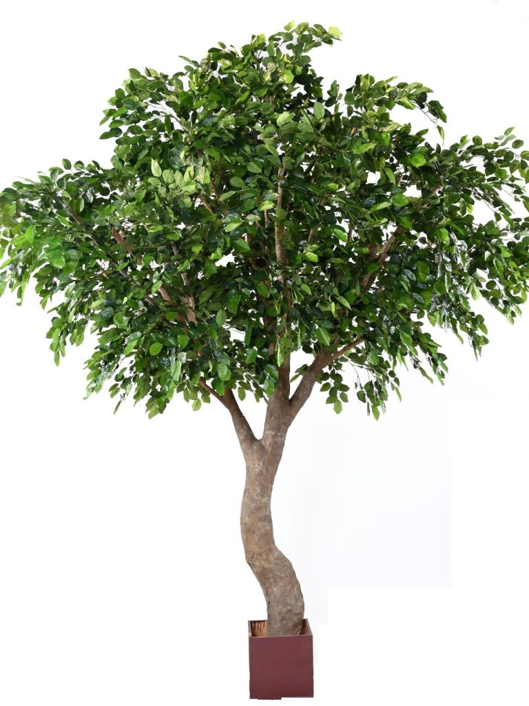 Arbre décoratif à feuilles vertes dans un pot marron, au tronc torsadé.