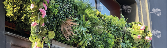 Mur végétal avec plantes vertes et fleurs roses.