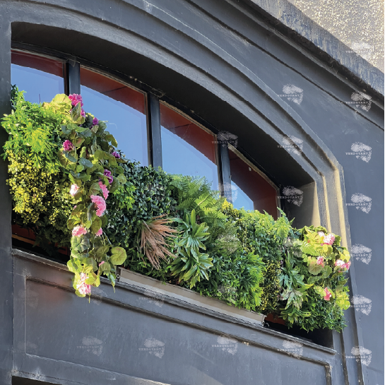 Suspensions en osier entourées de sphères végétales sur un fond de mur en béton.