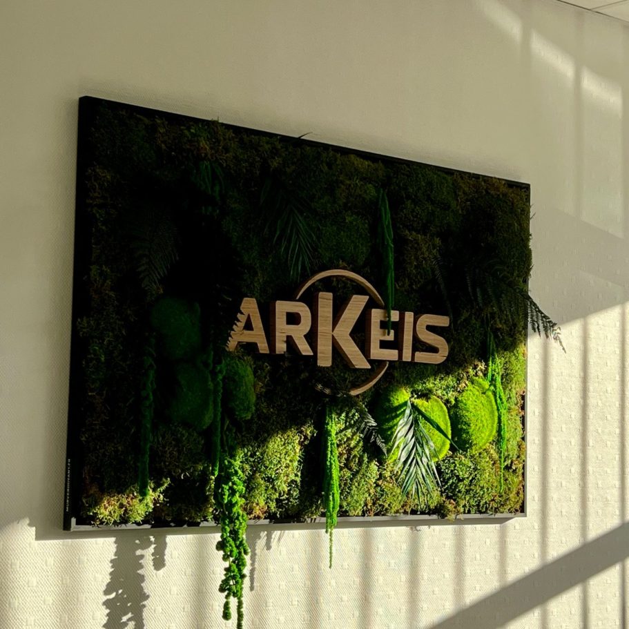 Manteau de mousse et feuillage luxuriant en nuances de vert.