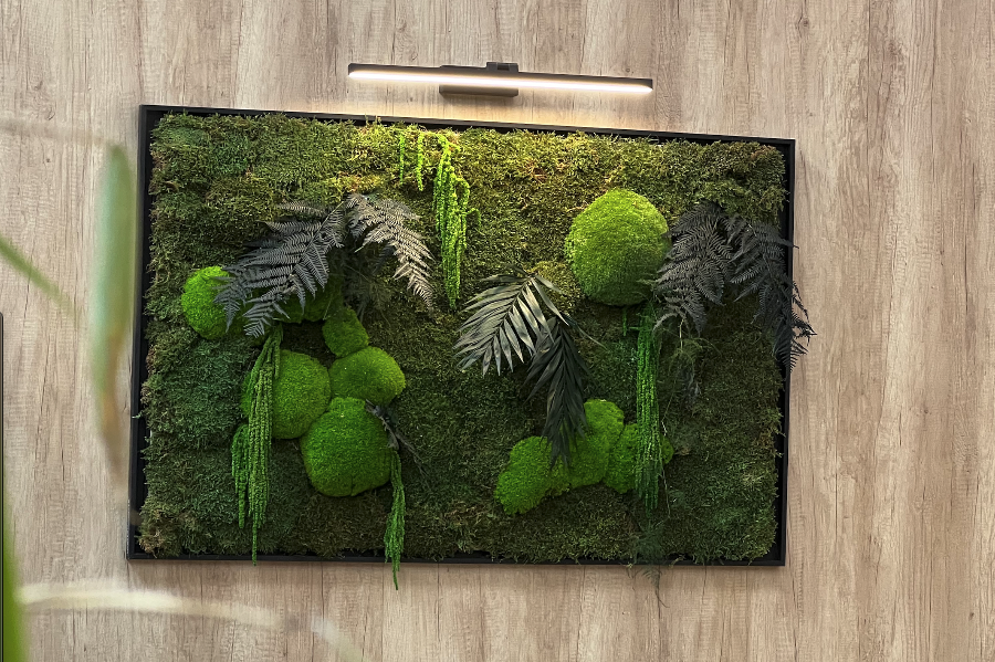 Texte stylisé sur un fond de verdure luxuriante.