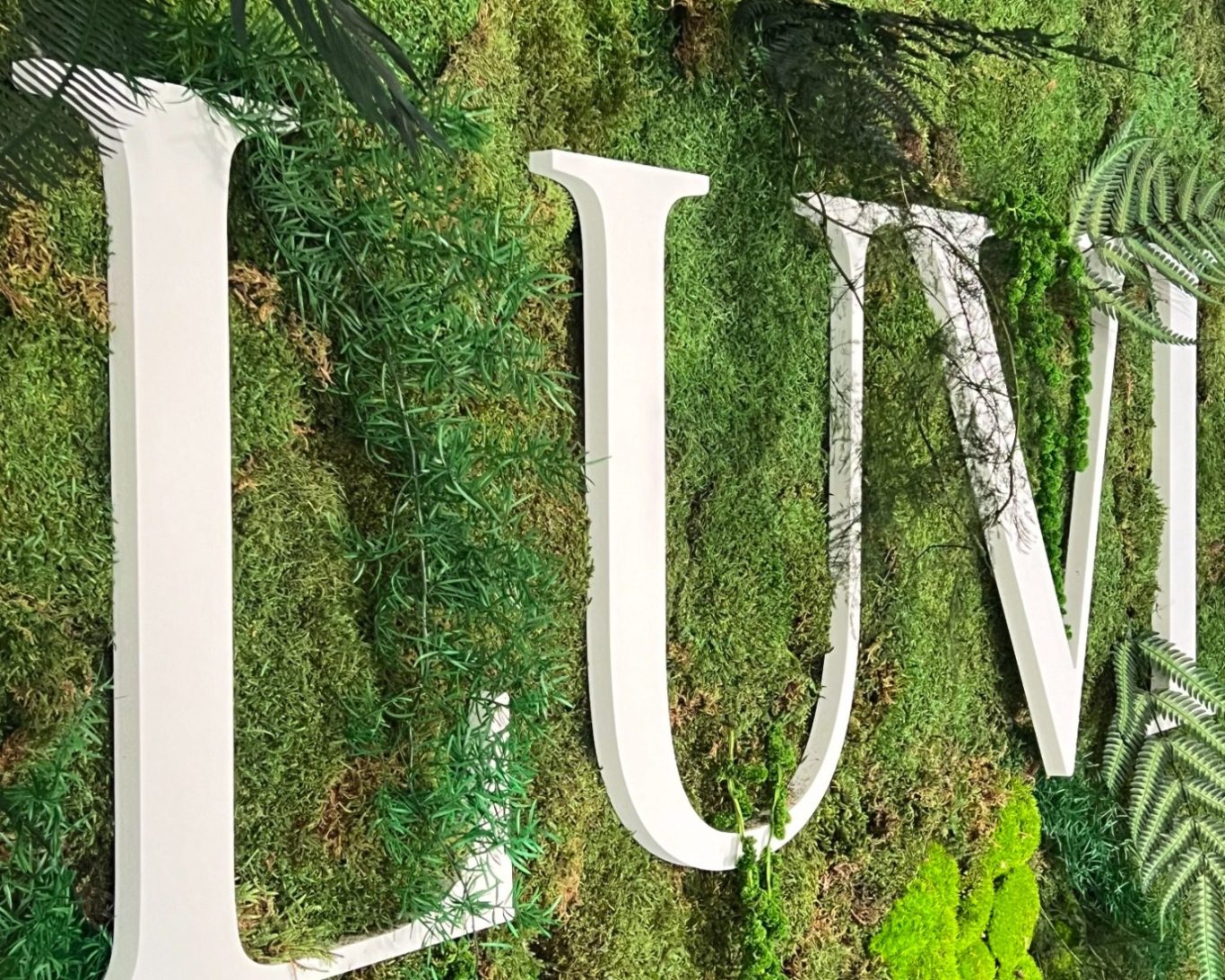 Texte stylisé "LUVI" sur un fond de mousse verte et de feuillages.