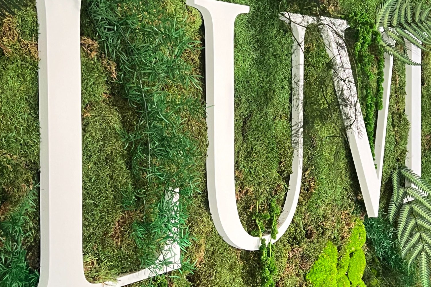 Texte stylisé sur un fond de verdure luxuriante.