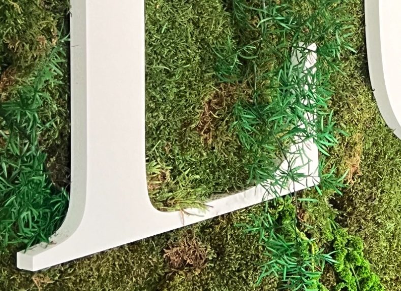 Lettres blanches sur un fond de mousse verte.