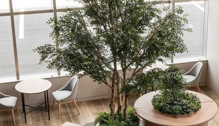 Intérieur moderne avec des plantes, tables et chaises en bois.