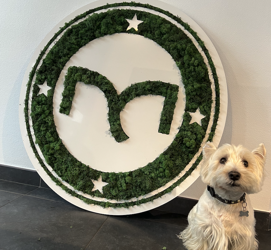 Panneau en mousse verte avec le logo "Eiffage Route" dans un environnement de bureau.