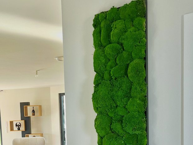 Décoration aérienne naturelle – Espace d’accueil du Centre des Congrès Mousse verte ornant des lattes de bois en diagonale.