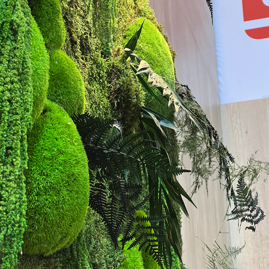 Manteau de mousse et feuillage luxuriant en nuances de vert.