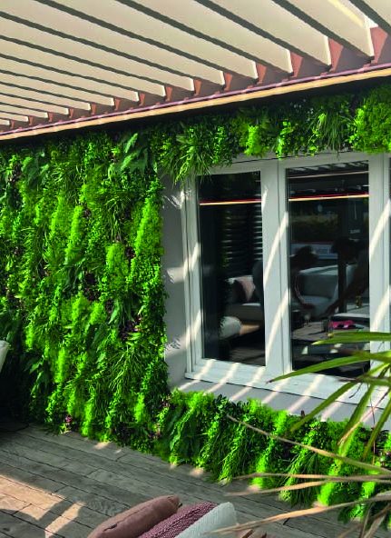 Mur végétal verdoyant avec des rayons de soleil passant à travers des persiennes.