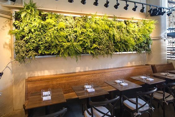 Mur végétal avec diverses plantes et un écran à droite.
