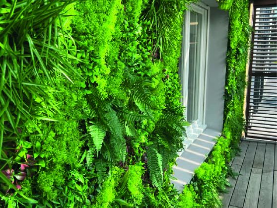 Mur végétal luxuriant avec différentes plantes vertes près d'une fenêtre.