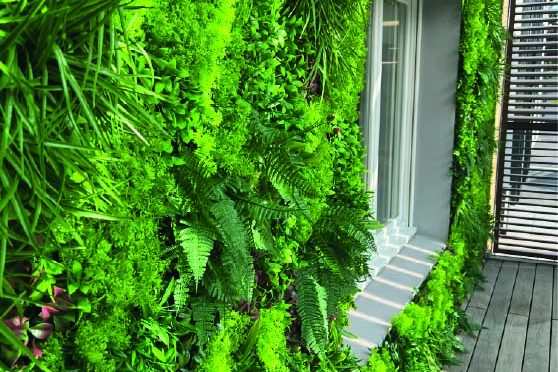 Texte stylisé sur un fond de verdure luxuriante.