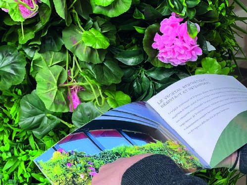 Main dans un livre posé sur un feuillage verdoyant avec des fleurs roses.