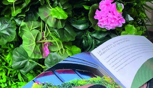 Inscription "Champagne" en lettres stylisées sur fond de mousse verte.