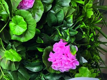 Fleurs roses entourées de feuillage vert luxuriant.