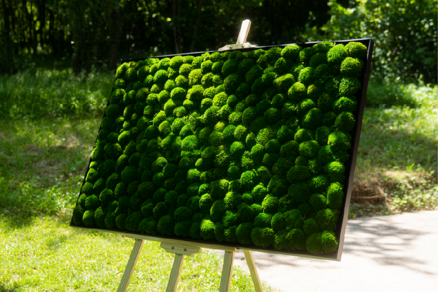 Texte stylisé sur un fond de verdure luxuriante.