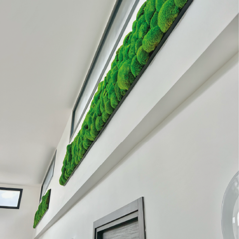 Suspenssion végétal - centres des congrès reims