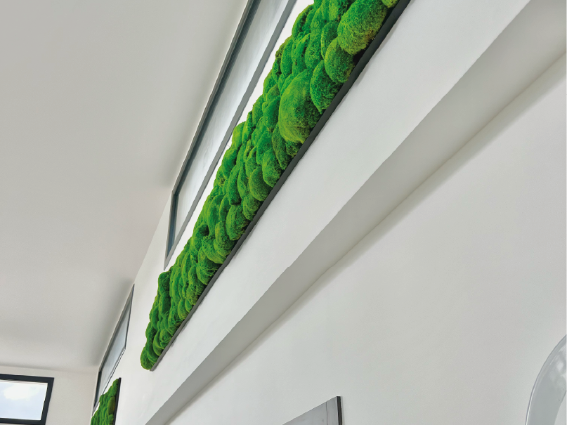 Panneau en bois avec une section de mousse verte et un design à lattes.