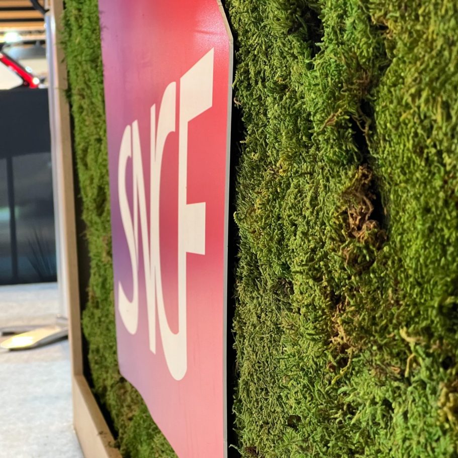 Manteau de mousse et feuillage luxuriant en nuances de vert.