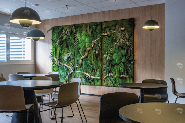 Texte stylisé sur un fond de verdure luxuriante.