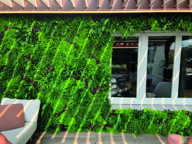 Mur recouvert de verdure, avec lumière créant des ombres sur la fenêtre voisine.