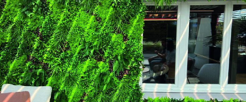 Mur végétal avec des plantes grimpantes verdoyantes à côté d'une fenêtre.