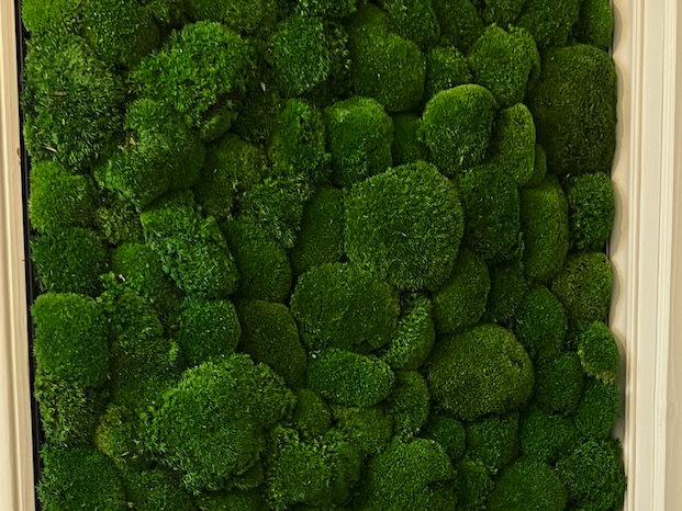 Claustra végétal stabilisé sur mesure – Centre des Congrès Reims Panneau en bois avec une section de mousse verte et un design à lattes.