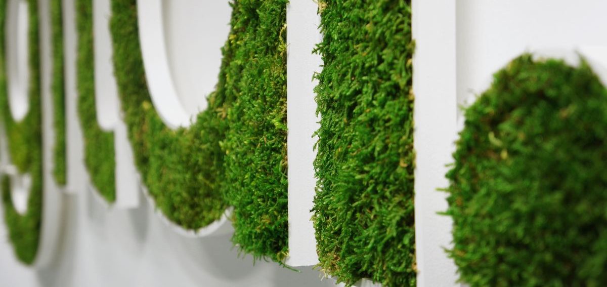 Texte en relief recouvert de mousse verte sur un fond blanc.