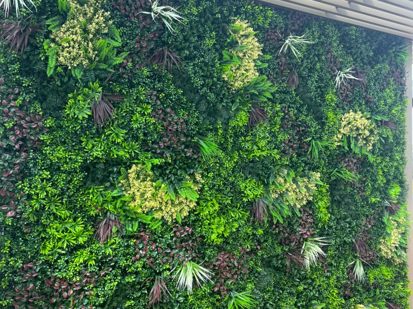 Mur végétal luxuriant avec de nombreuses plantes vertes et touches de rouge et de jaune.