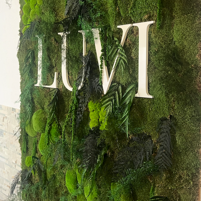 Manteau de mousse et feuillage luxuriant en nuances de vert.