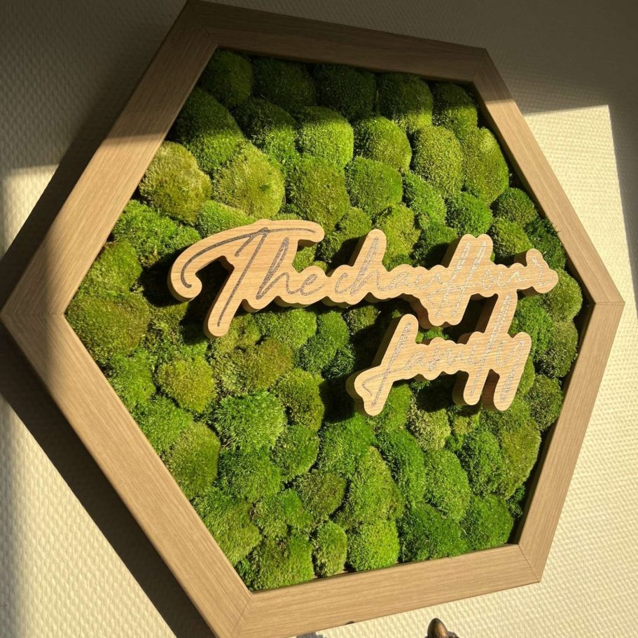 Manteau de mousse et feuillage luxuriant en nuances de vert.