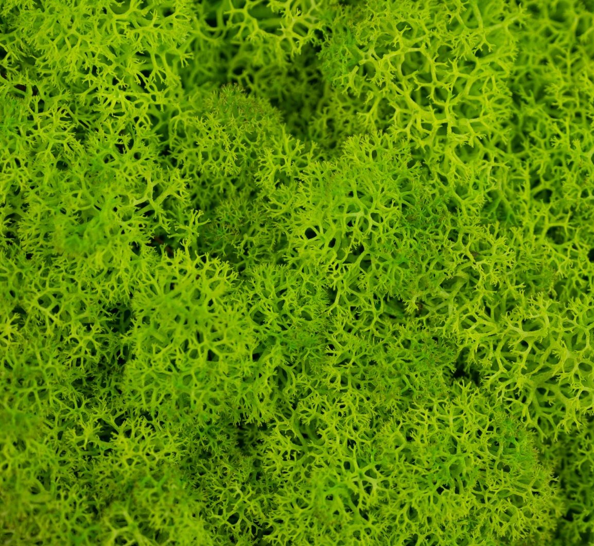Panneau en mousse verte avec le logo "Eiffage Route" dans un environnement de bureau.
