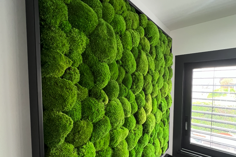 Texte stylisé sur un fond de verdure luxuriante.