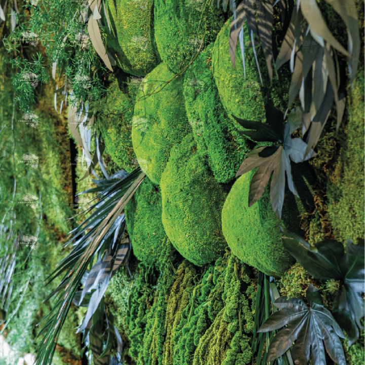 Manteau de mousse et feuillage luxuriant en nuances de vert.