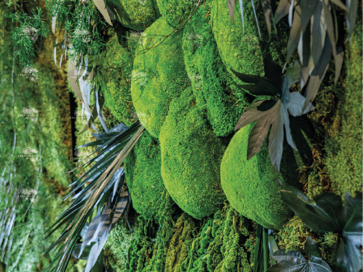 Mousse verdoyante et feuilles sur un mur, créant une ambiance naturelle.