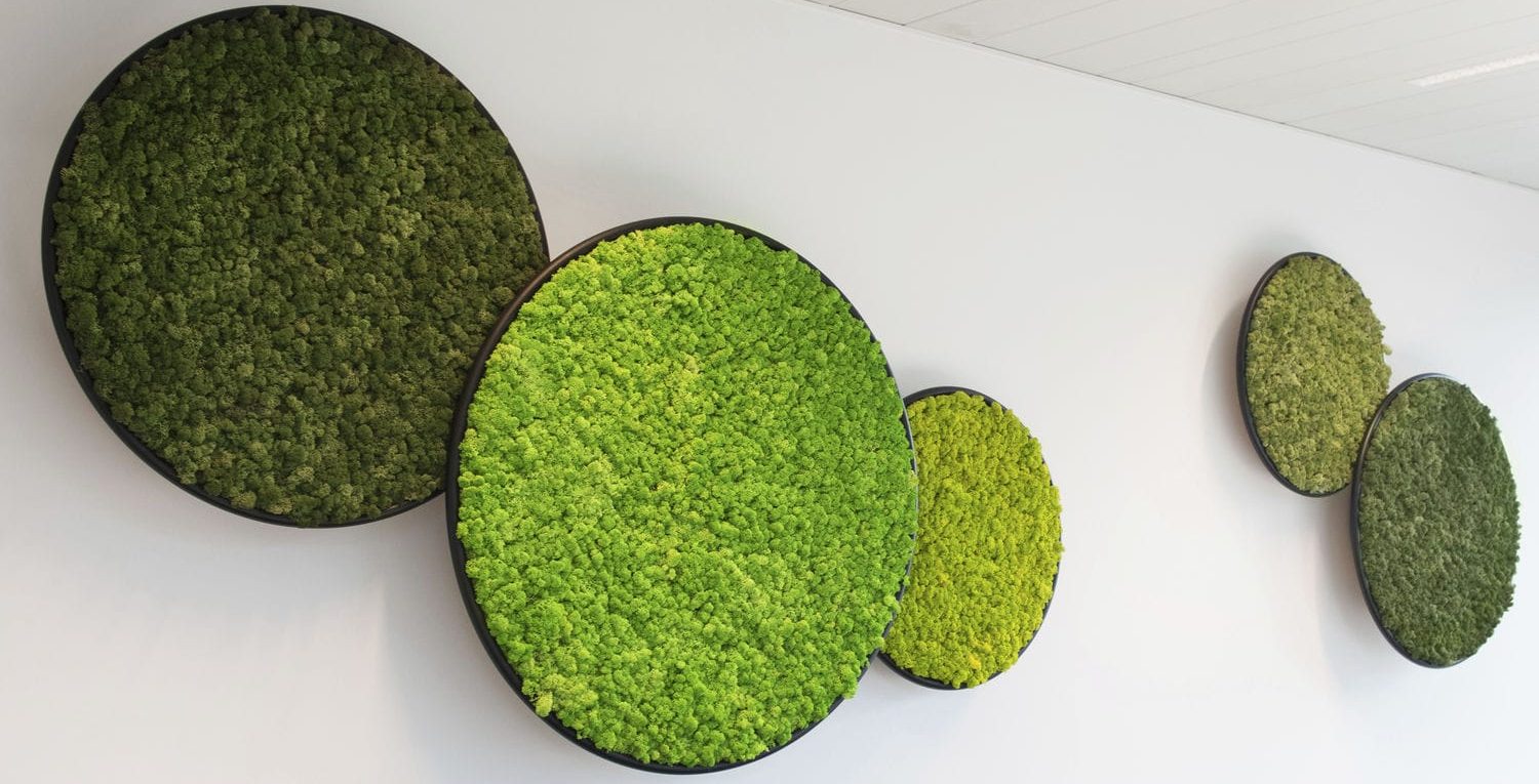 Panneaux décoratifs ronds en mousse verte de différentes teintes.