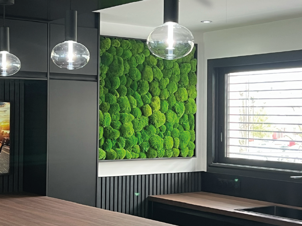 Mur végétal luxuriant avec de nombreuses plantes vertes et touches de rouge et de jaune.