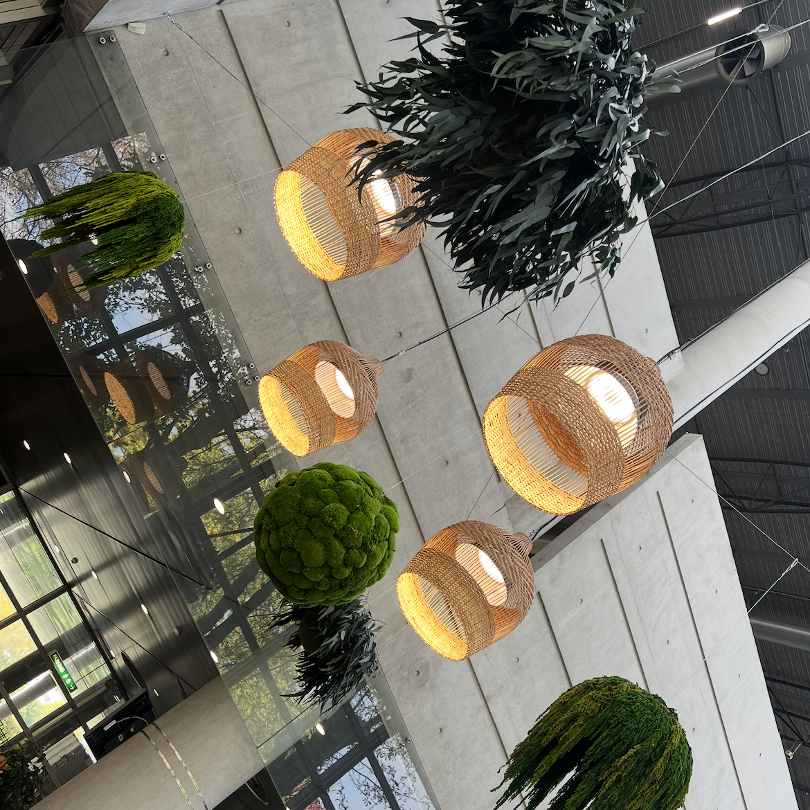 Suspensions en osier entourées de sphères végétales sur un fond de mur en béton.