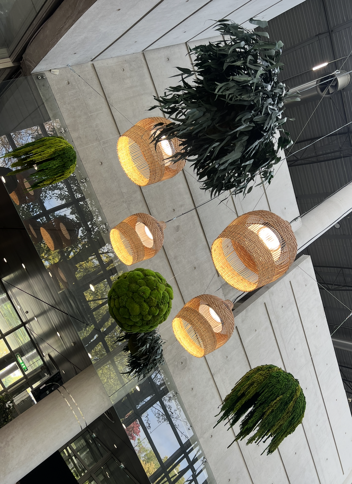 Vases pendants avec des plantes et un éclairage chaleureux dans un espace moderne.