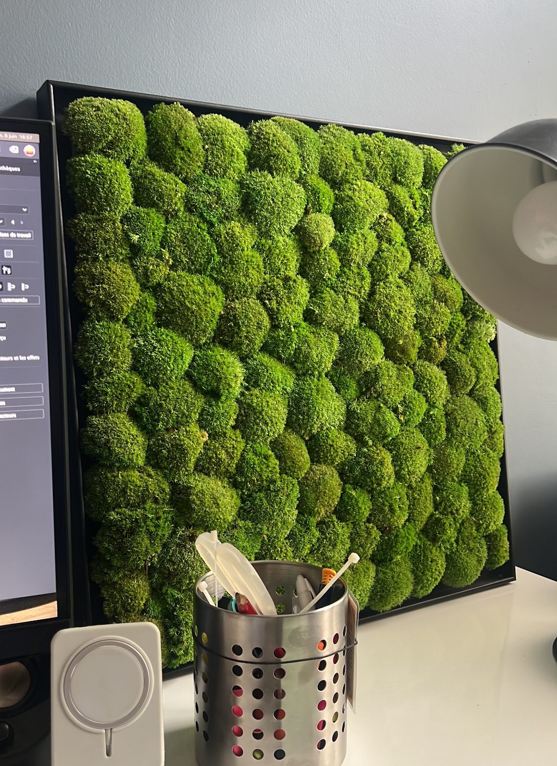 Suspensions végétales stabilisées – Accueil du Centre des Congrès de Reims Vases pendants avec des plantes et un éclairage chaleureux dans un espace moderne.