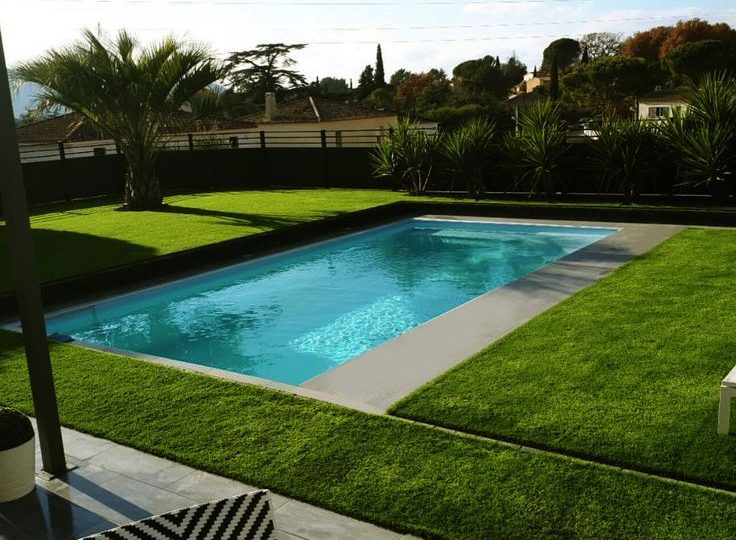 Plantes suspendues au plafond dans un café lumineux avec des murs décorés de photos.