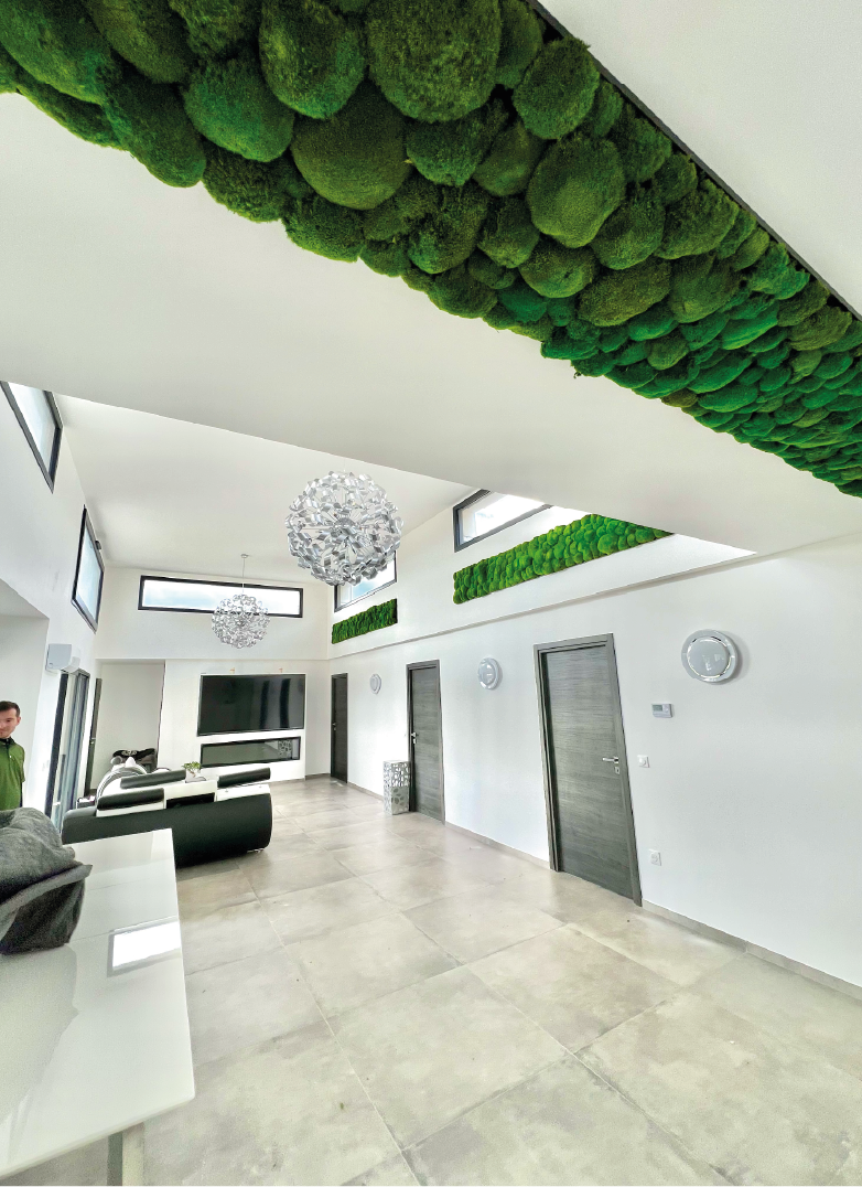 Vases pendants avec des plantes et un éclairage chaleureux dans un espace moderne.