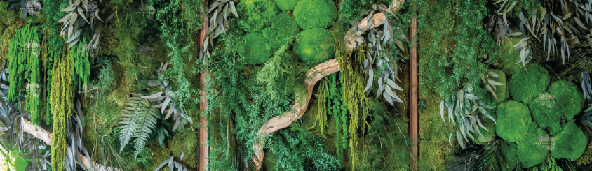 Mur végétal luxuriant composé de diverses feuilles et plantes vertes.