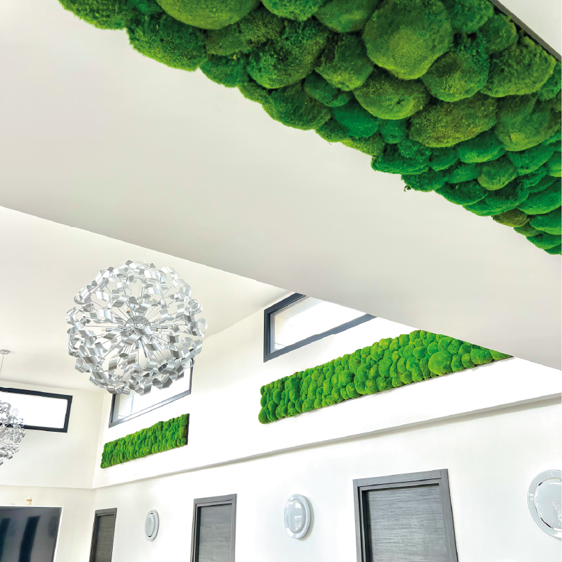 Suspenssion végétal - centres des congrès reims Suspensions en osier entourées de sphères végétales sur un fond de mur en béton.